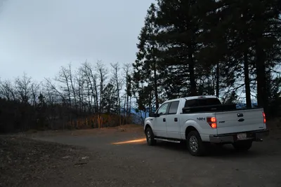 DSC_0155 (Large).JPG